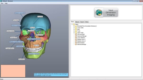 BoneLab - Image 3