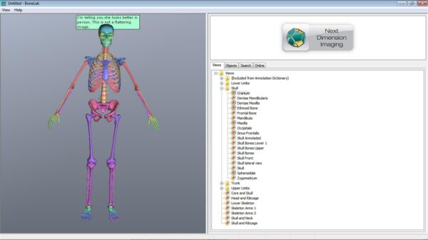 BoneLab - Image 4